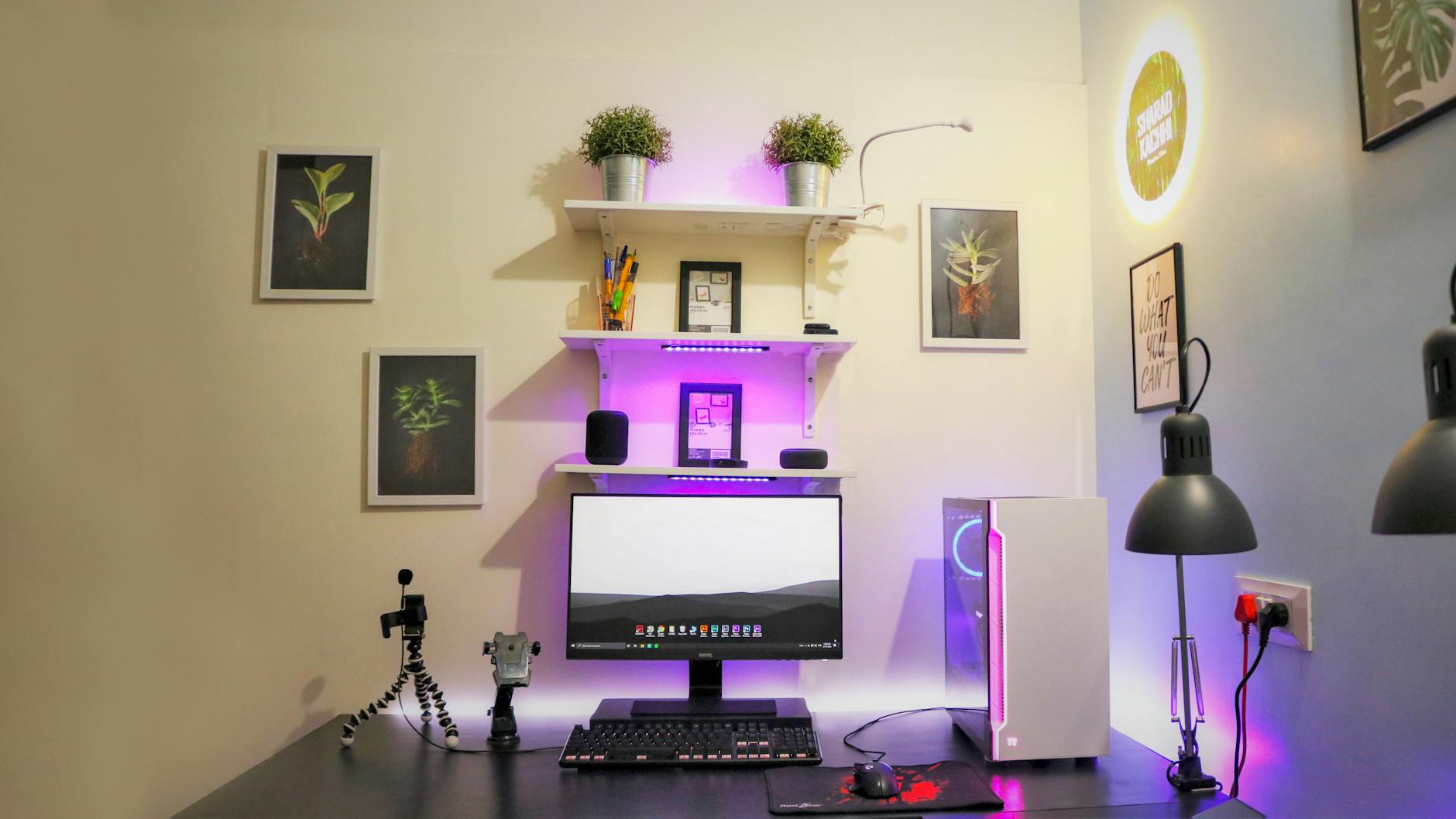 Best Monitors 2026: Top Picks for Gaming, Work and Content Creation