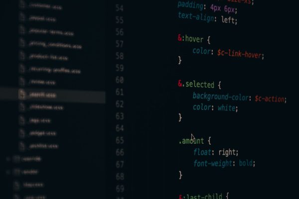 Should I Learn Web Development or Mobile Development in 2026?