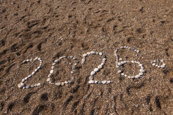 Should I Specialize or Be a Generalist Developer in 2026?
